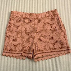 Mauve Pink Ann Taylor Eyelet Shorts